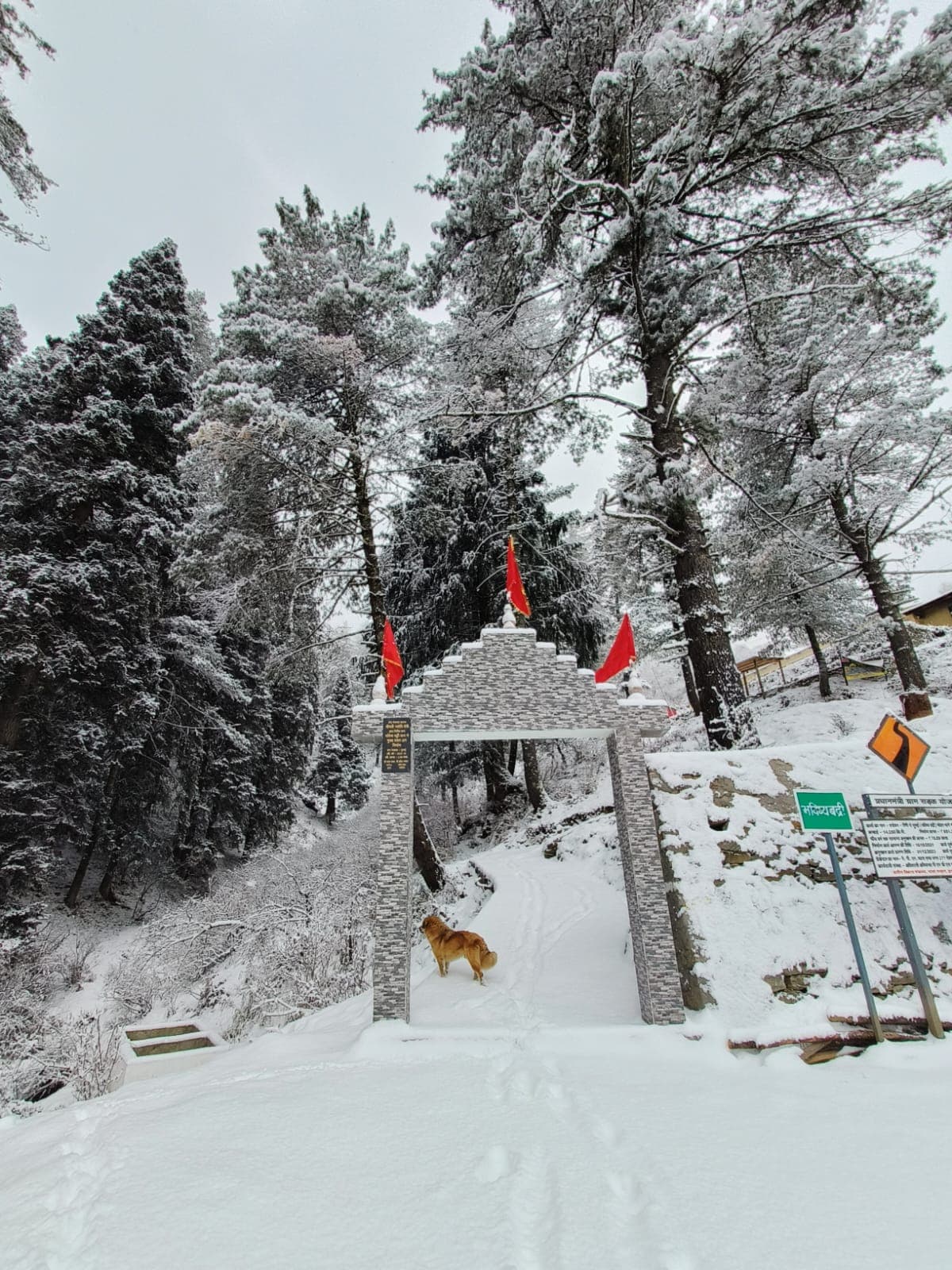 Bhavishya Badri Homestay 16