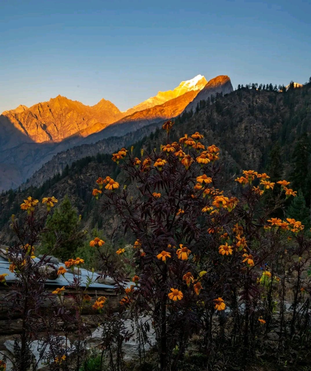 Bhavishya Badri Homestay 2