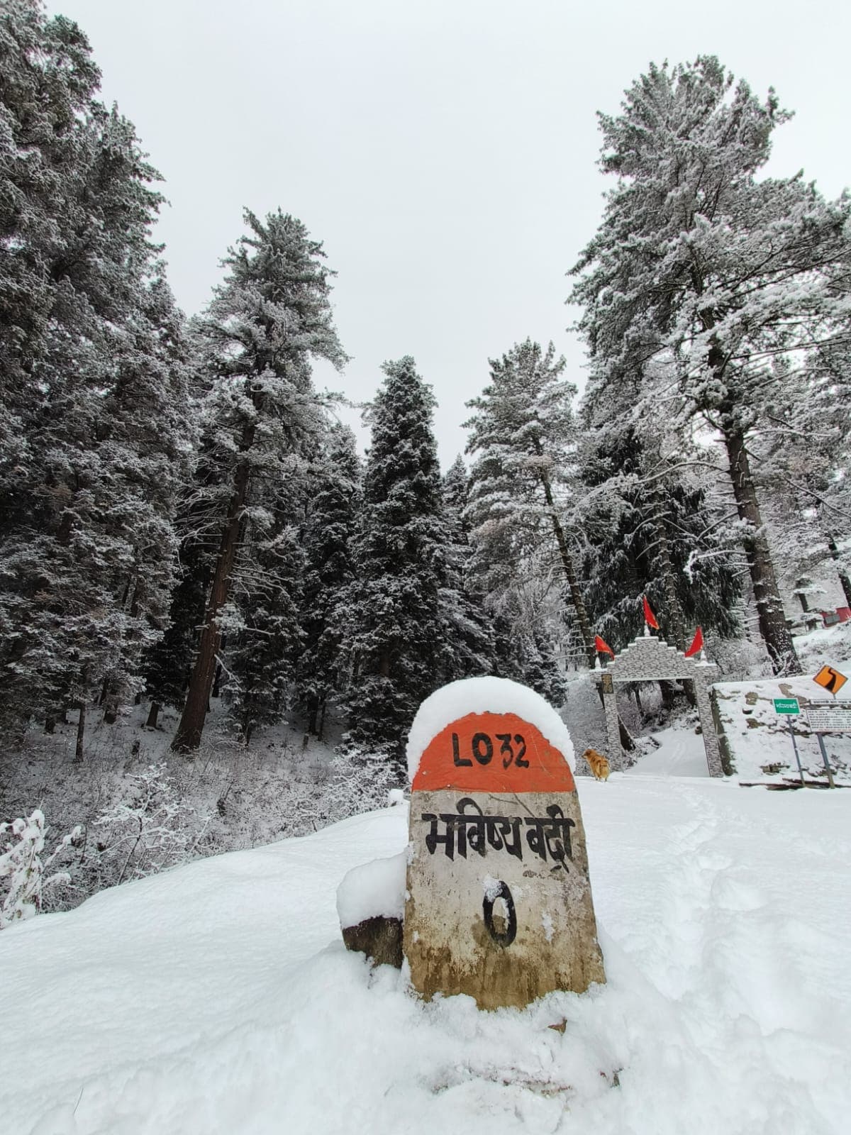 Bhavishya Badri Homestay 27