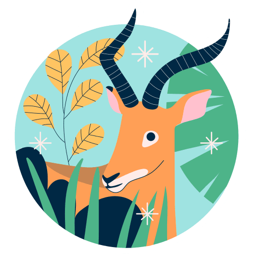 Wildlife Tours