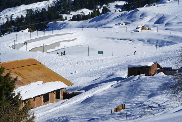 Auli